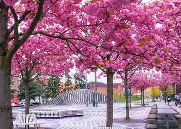 Apartament Nrrebro Flat - Live Like A Local